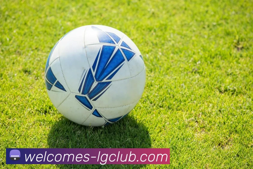 老哥俱乐部官网平台生态图