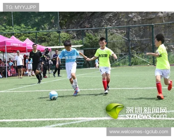 洛阳蓝足球赛精彩落幕 球迷热情不减激情再燃助力球队奋勇向前